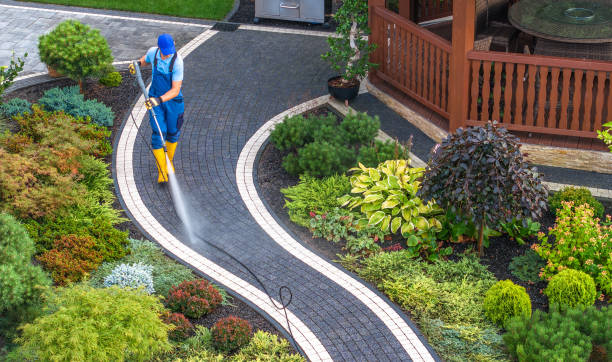 Best Best Pressure Washing Companies  in Dayton, OR